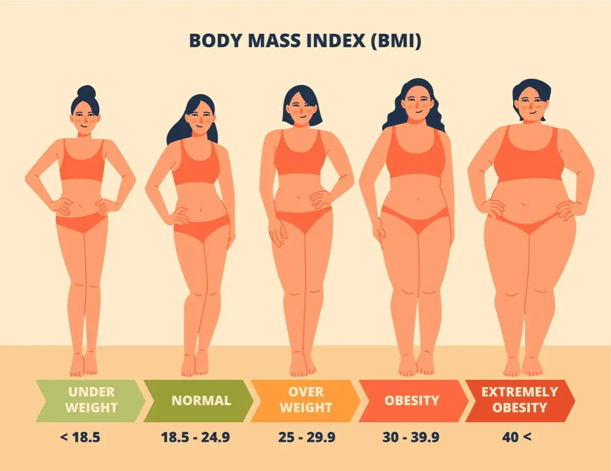 Cinque silhouette femminili mostrano diverse categorie di BMI, da sottopeso a obesità estrema. Un percorso visivo per chi desidera dimagrire in fretta.
