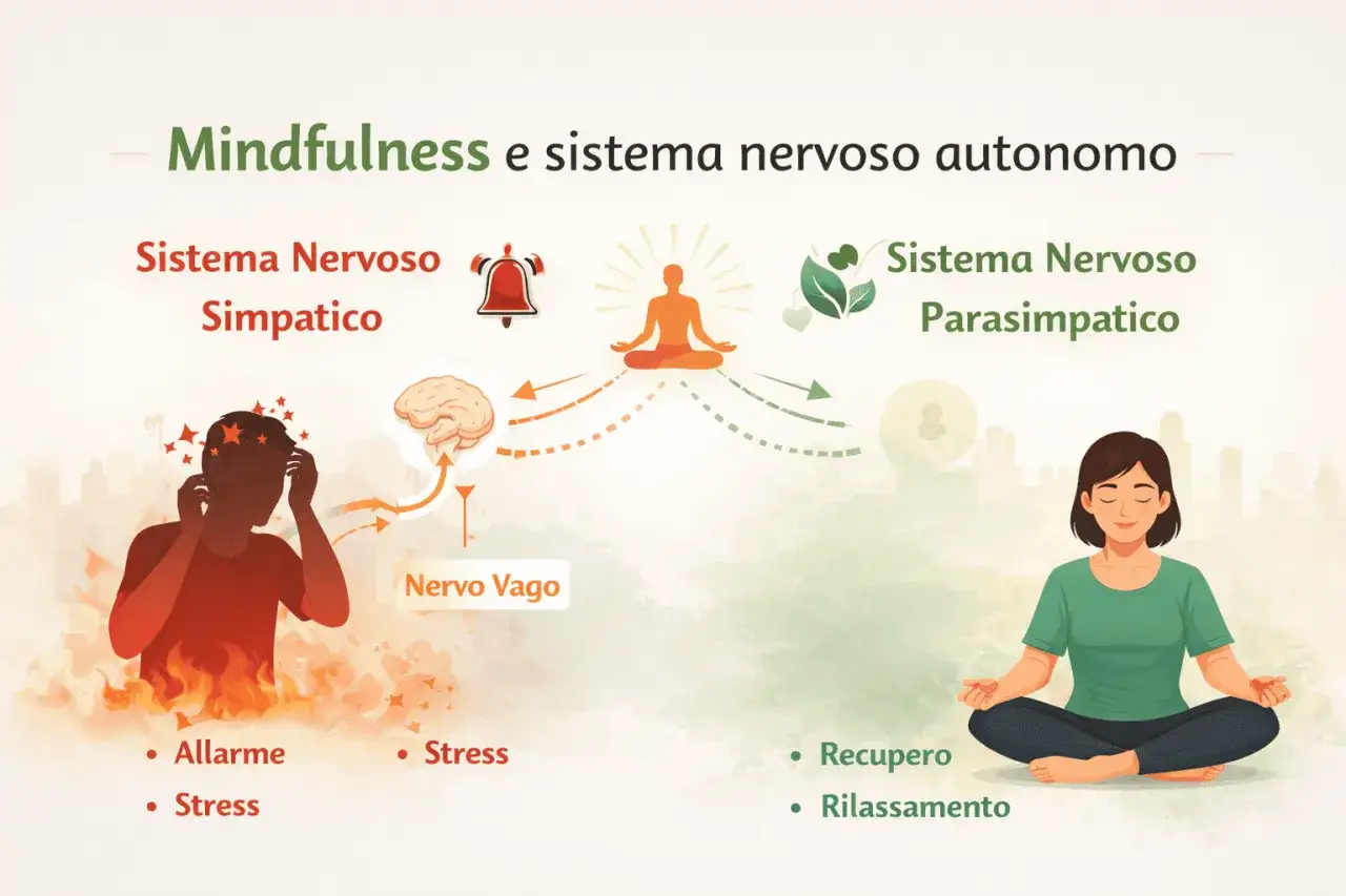Mindfulness aiuta a curare lo stress, attivando il sistema nervoso parasimpatico per recupero e rilassamento, contrastando l'allarme del simpatico.